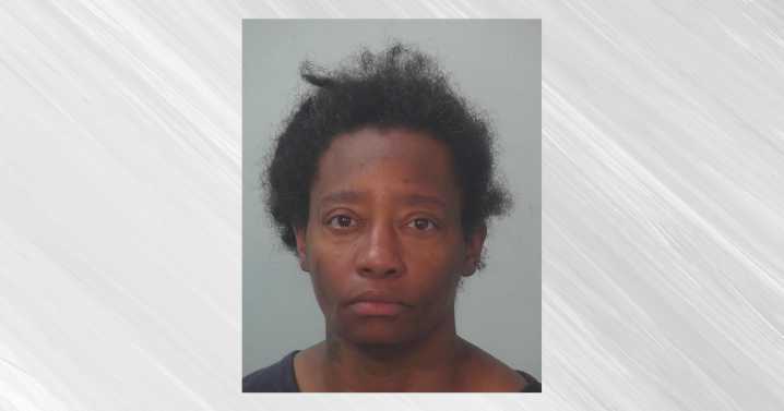 Fort Wayne woman pleads guilty to voluntary manslaughter for fatal stabbing