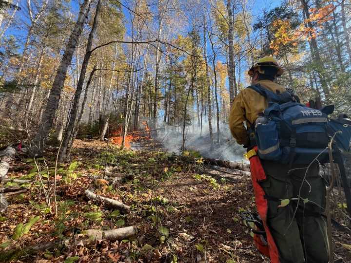 Crosby fire containment at 70% as rain stalls growth