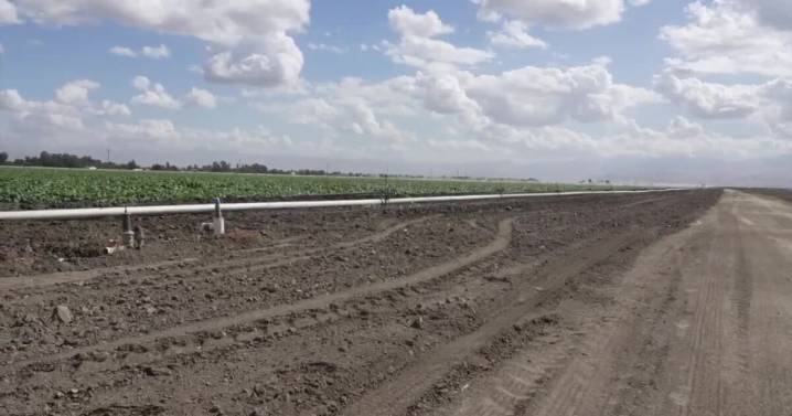 Farmers react, opposing Proposition 50 and redrawing district lines