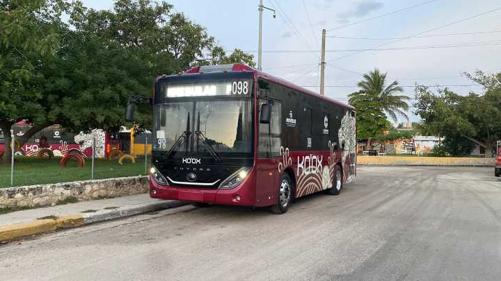 PRIMEROS KO’OX RUGIRÁN ANTES DE QUE SALGA EL SOL