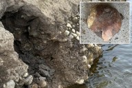 Skull fragment found by Whitewater River is 4,200 years old