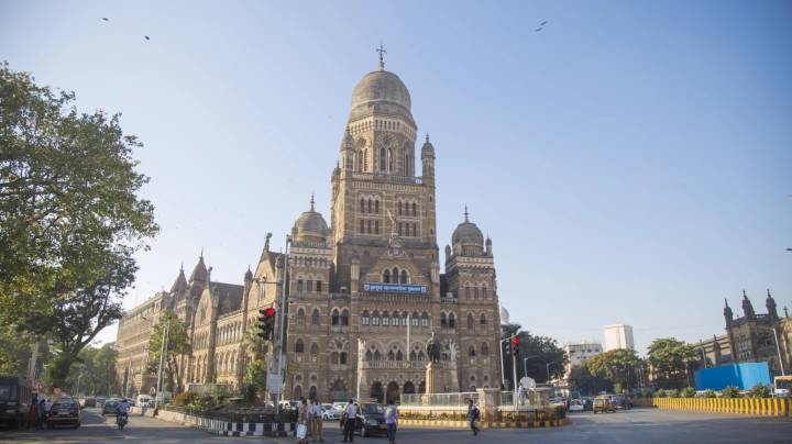 Over 700 Trees to be cut for the Eastern Express Highway Project