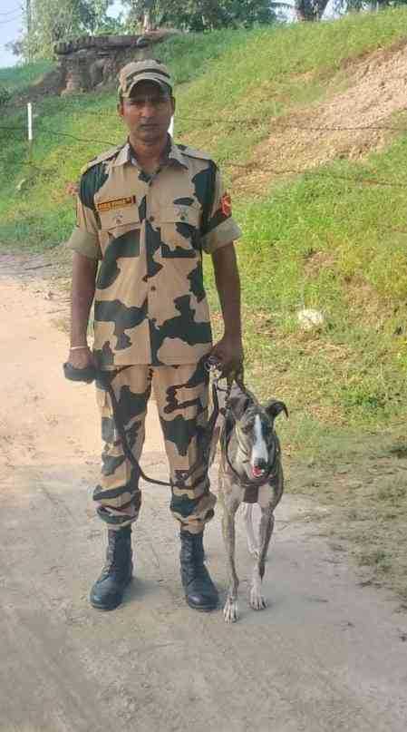 Indian Dog Breeds Contingent to Take Part in Ekta Diwas Parade in Gujarat