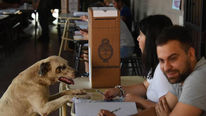 De cuánto es el piso electoral que debe sacar cada fuerza política en La Pampa para entrar al reparto de bancas