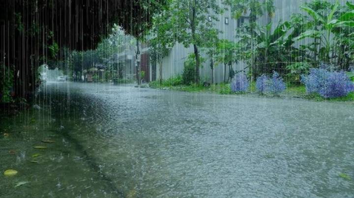 Rain Activity to Continue for Next 36 Hours In Punjab & Haryana; Weather to Clear Up by 8th: IMD