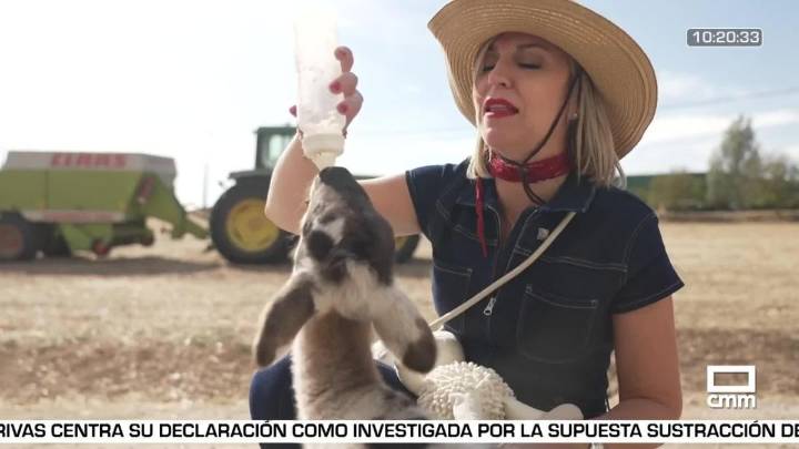 Despierta Player con Cristina Medina