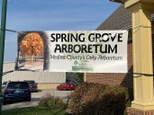Medina’s Spring Grove Cemetery is a hidden haunt for trees