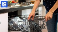 Do dishwashers release microplastics when you wash plastic containers and kitchenware?