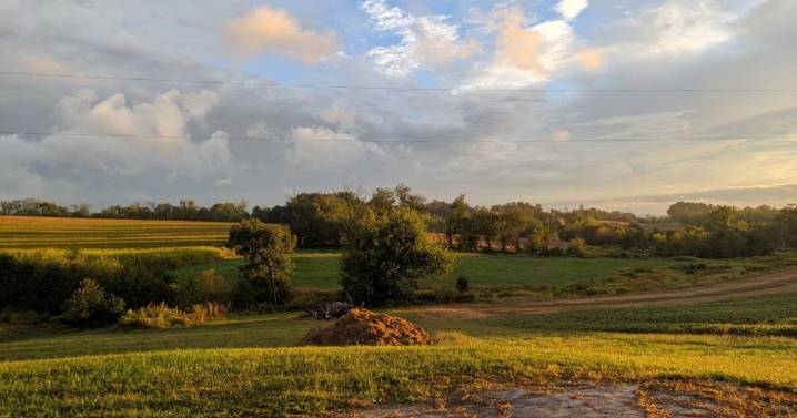 Crafting a DIY Farm Wedding
