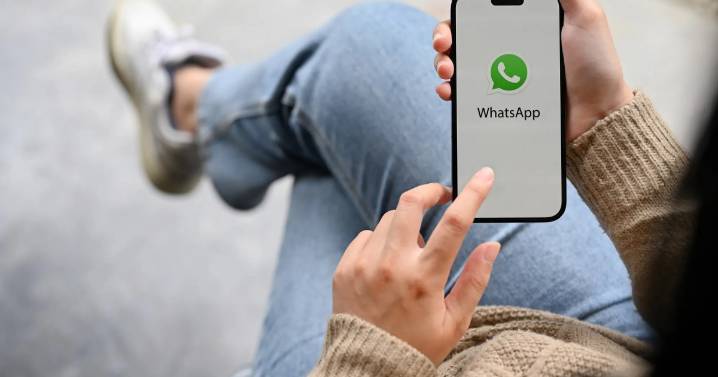 WhatsApp: cómo encontrar la papelera de archivos y mensajes para recuperarlos