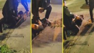 Video exclusivo: Así fue la detención de sospechoso por desaparición de Krishna Aguilera