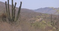 Tucson's Sabino Canyon gets new parking and restroom upgrades