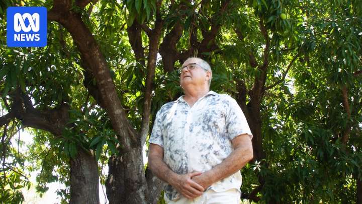 Ord Valley's northern food bowl 'pipe dream' struggles amid changing climate
