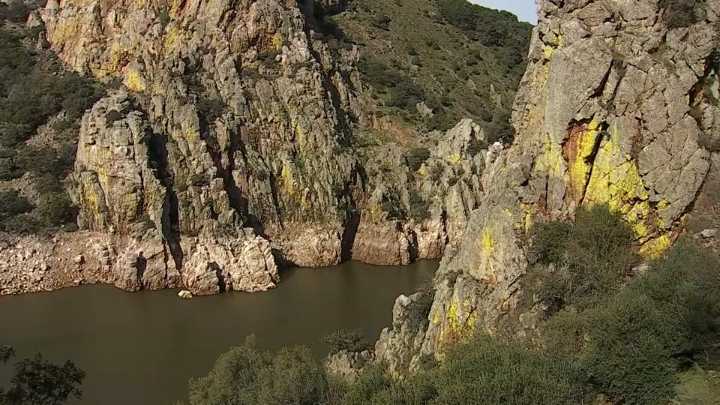 Monfragüe introduce la caza con arco y rehalas de perros para controlar la población de ciervos y jabalíes More