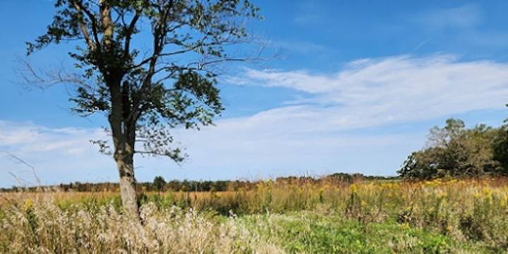 Dane Co. Parks celebrates opening of 923