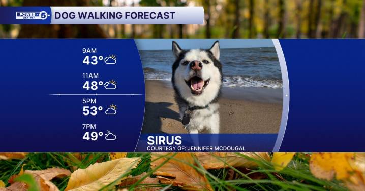 Smile, it is the weekend! Your dog walking forecast for October 25