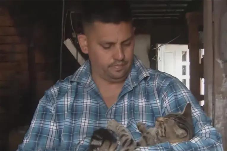 Héroe felino: se incendiaba su vivienda y su gato lo despertó con una mordida