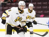 Soo Greyhounds acquire overage defenceman Jack O’Brien from Sarnia Sting