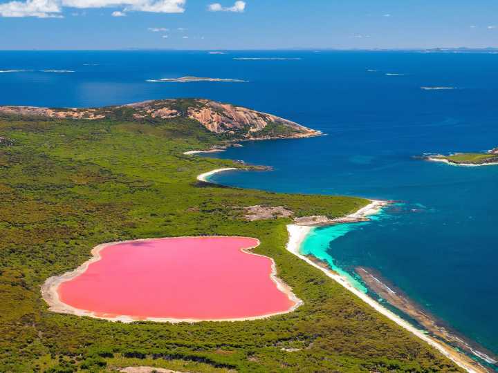 10 mysteries in nature that scientists can't fully explain