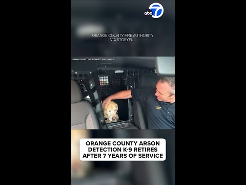OC arson detection K-9 retires after 7 years of service