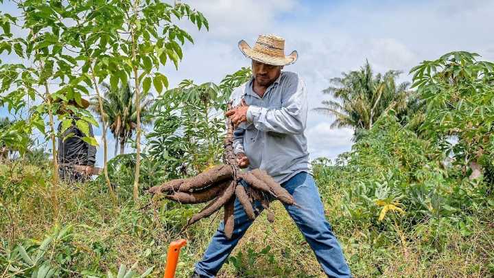 28 congresistas radican proyecto de ley para eliminar las APPA, norma de uso del suelo que según ellos golpea inversión, gobernabilidad y desarrollo