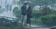 Heavy rain batters Idukki; Kallarkutty and Mullaperiyar dams opened