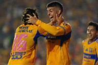Van Tigres por más