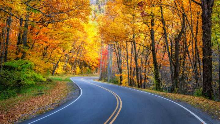 Busiest U.S. National Park Loses $8 Million A Day As Advocates Urge Its Closure Amid Government Shutdown