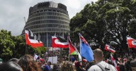 Unplanned haka halts NZ parliament after MP's speech