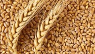 MSP Hikes For Rabi Crops Show PM Modi Always Works In Our Interest: Farmers