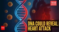 Your DNA could reveal a hidden heart attack risk: Scientists uncover the genetic code behind high cholesterol