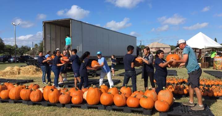 Pumpkin patches to visit this season across the Coastal Bend