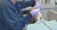 New studies link gum disease to brain damage and stroke risk