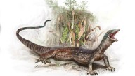 Bizarre Half-Lizard Half-Snake Reptile Fossil Confuses Scientists Looking At Squamate Evolution