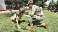 Rinde Marina homenaje al canino ‘Hema’, en emotiva ceremonia de jubilación, en Mazatlán