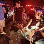 Lost dog and stranded hiker rescued from Shadow Mountain in Phoenix