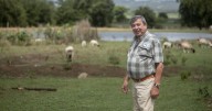 [VIDEO] Del casco a la finca: ingeniero apuesta por la producción local de carne de cordero