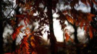 Will the cooler Alabama weather last through Halloween?