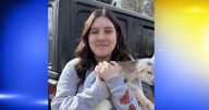 Public's help sought in locating missing and endangered Albany teen