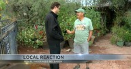 Tucsonans share thoughts, hopes on peace deal between Israel and Hamas