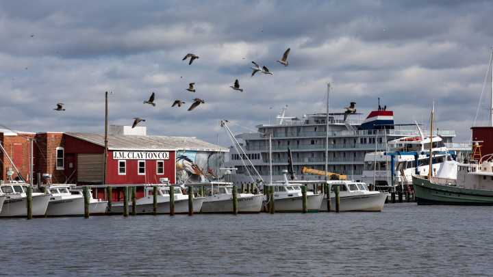 Great Chesapeake day trips, weekend getaways for fall