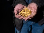 Photos: US soya bean farmers battered by trade dispute with China