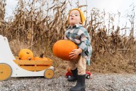 Where to go pumpkin picking in and around New York City