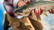 Atención, pescadores: A partir del 15 de octubre se podrá obtener el permiso de pesca en Neuquén
