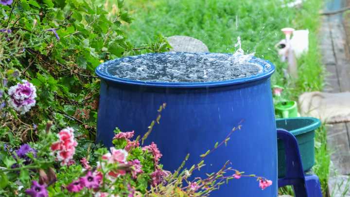 16 Ways To Reuse Rainwater, Air Conditioner, Or Dehumidifier Water At Home Or In The Garden