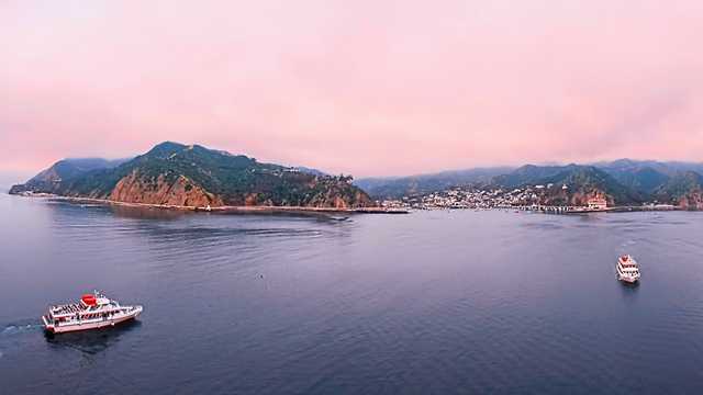 ​Shark attacks competitive swimmer near popular California tourist spot