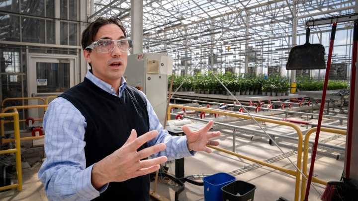 Corteva to split crop protection and Johnston