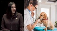 Propone Paloma Domínguez deducir impuestos a gastos veterinarios