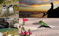 Las fotos de la semana en el Instagram de La Nueva.
