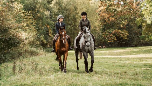 Supporting your horse’s digestive system with Dengie